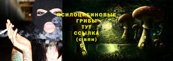 MDMA Premium VHQ Белокуриха
