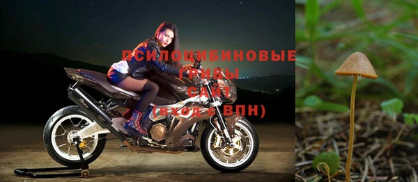 каннабис Беломорск